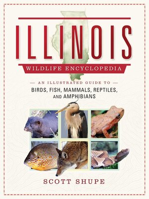 cover image of The Illinois Wildlife Encyclopedia: an Illustrated Guide to Birds, Fish, Mammals, Reptiles, and Amphibians